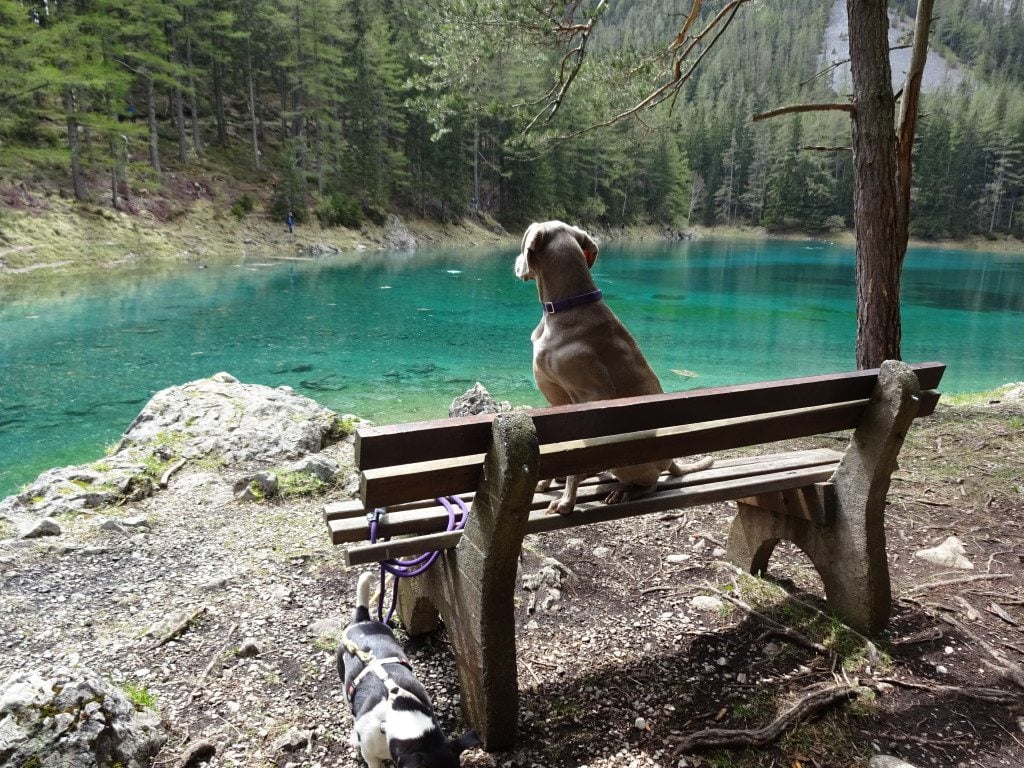 Grüner See 10