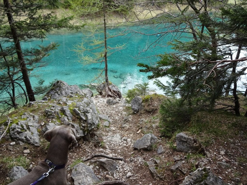 Grüner See 5