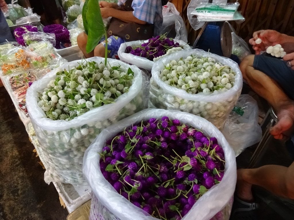 Bangkok 13