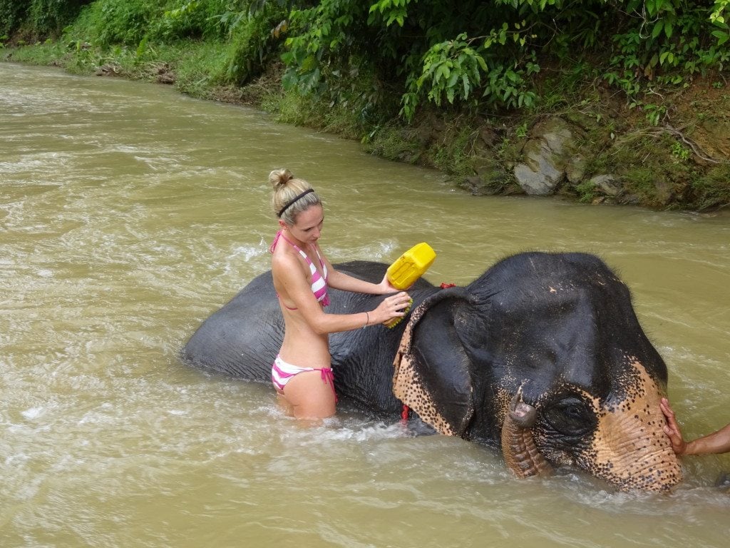 Khao Sok National Park 1