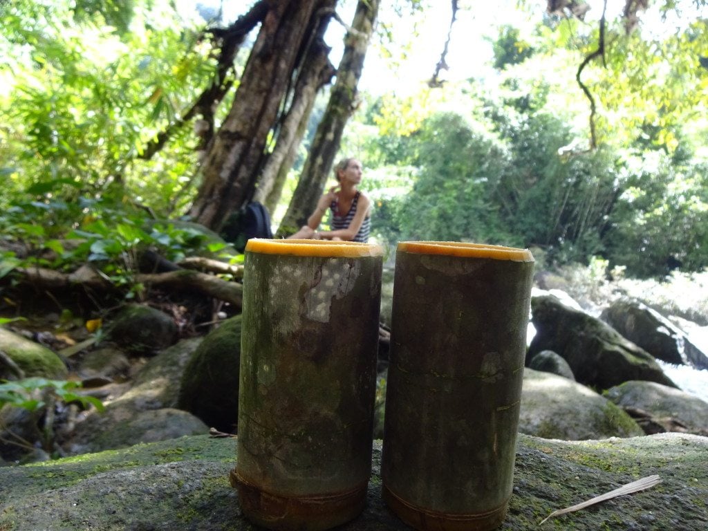 Khao Sok National Park 4