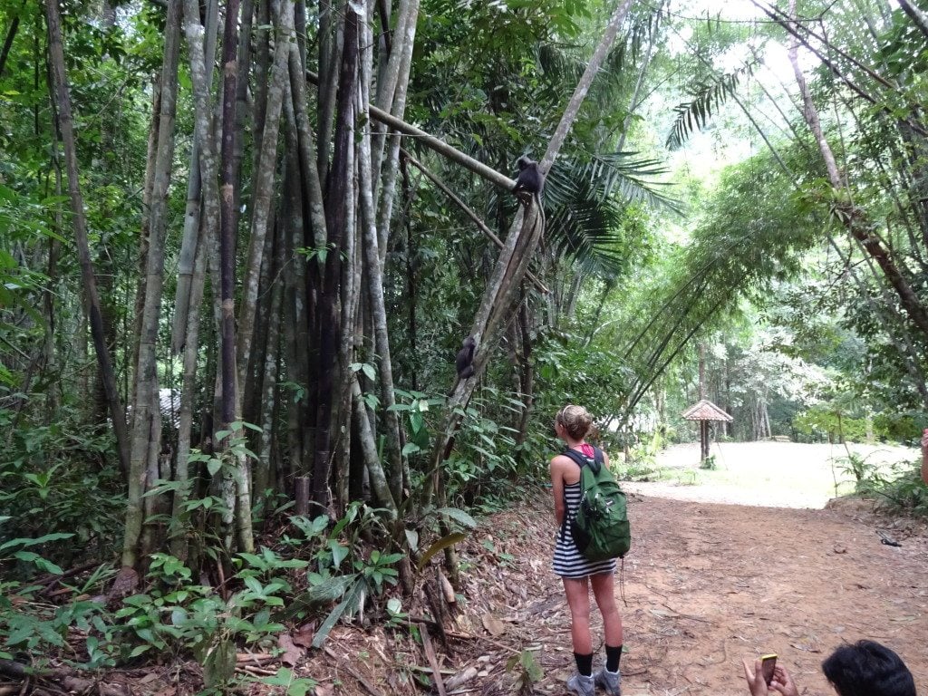 Khao Sok National Park 7