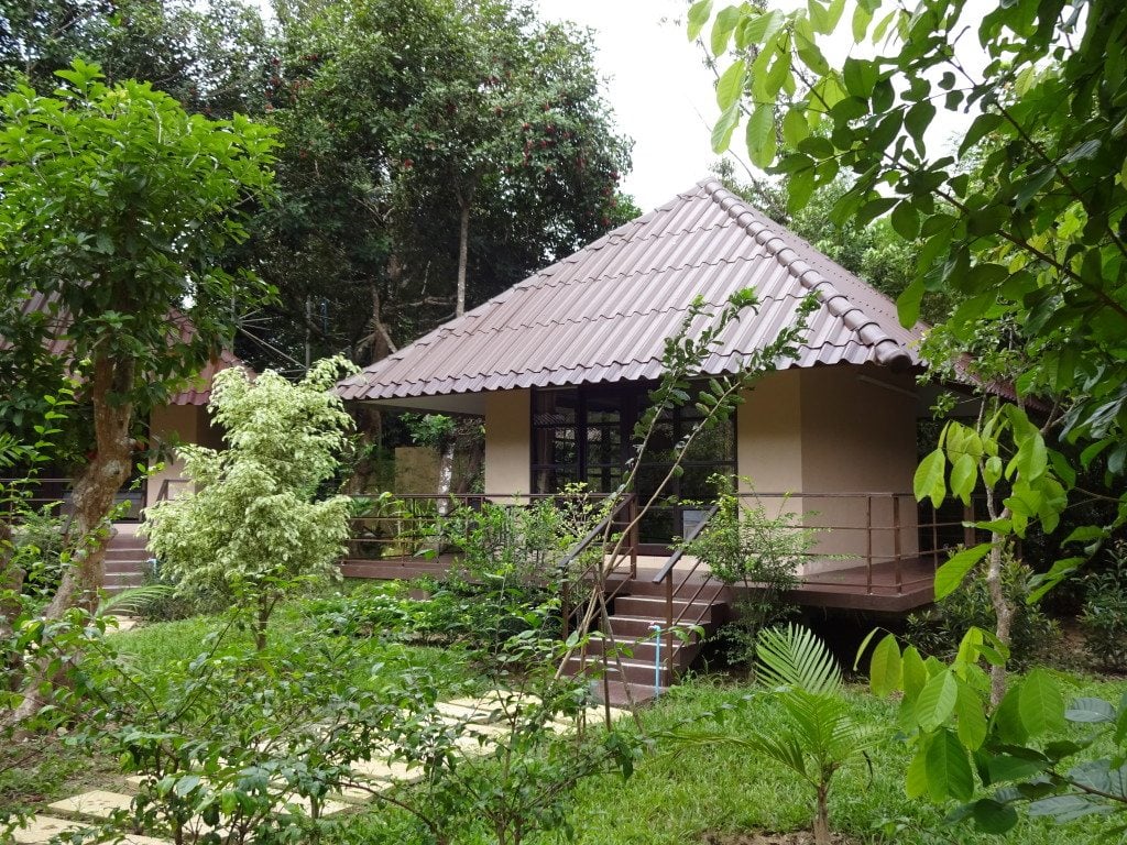 Khao Sok Paradise Resort 3