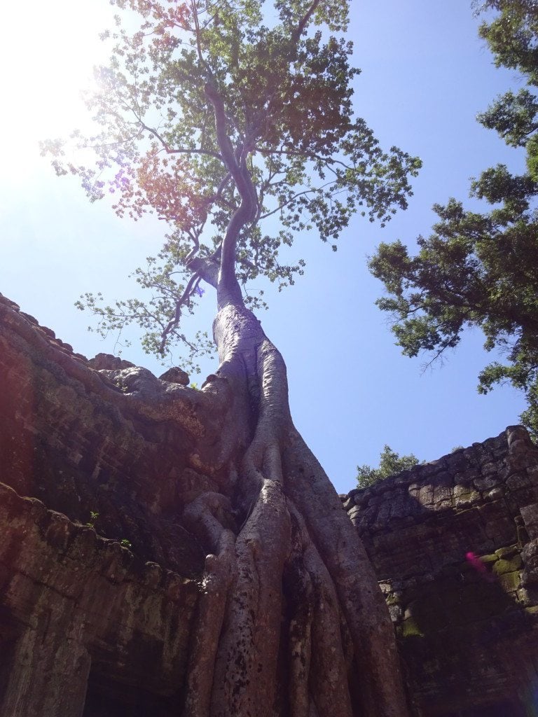 1 Tag Angkor Wat