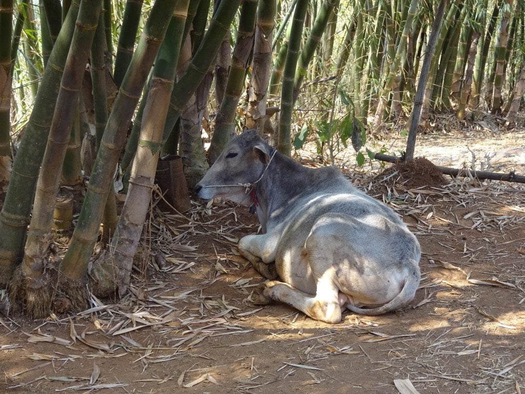 Trekking Kalaw Inle