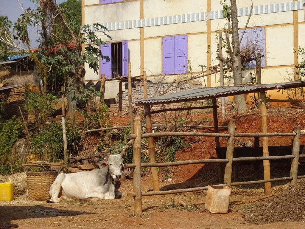 Trekking Kalaw Inle