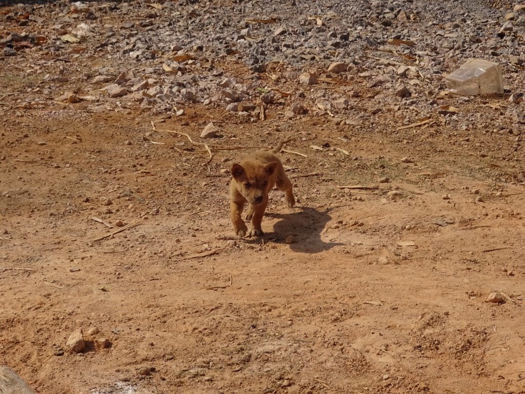 Trekking Kalaw Inle