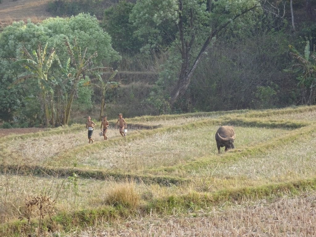 Trekking Kalaw Inle