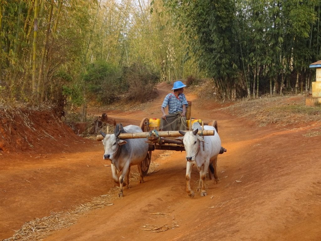 Trekking Kalaw Inle
