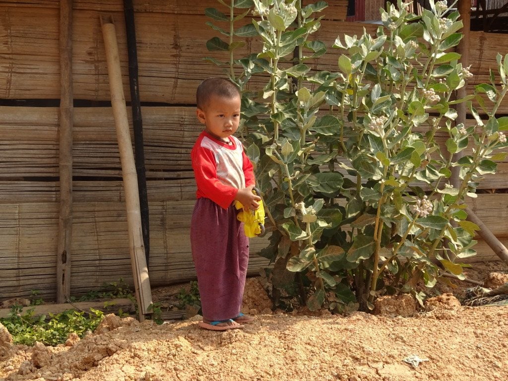 Inle