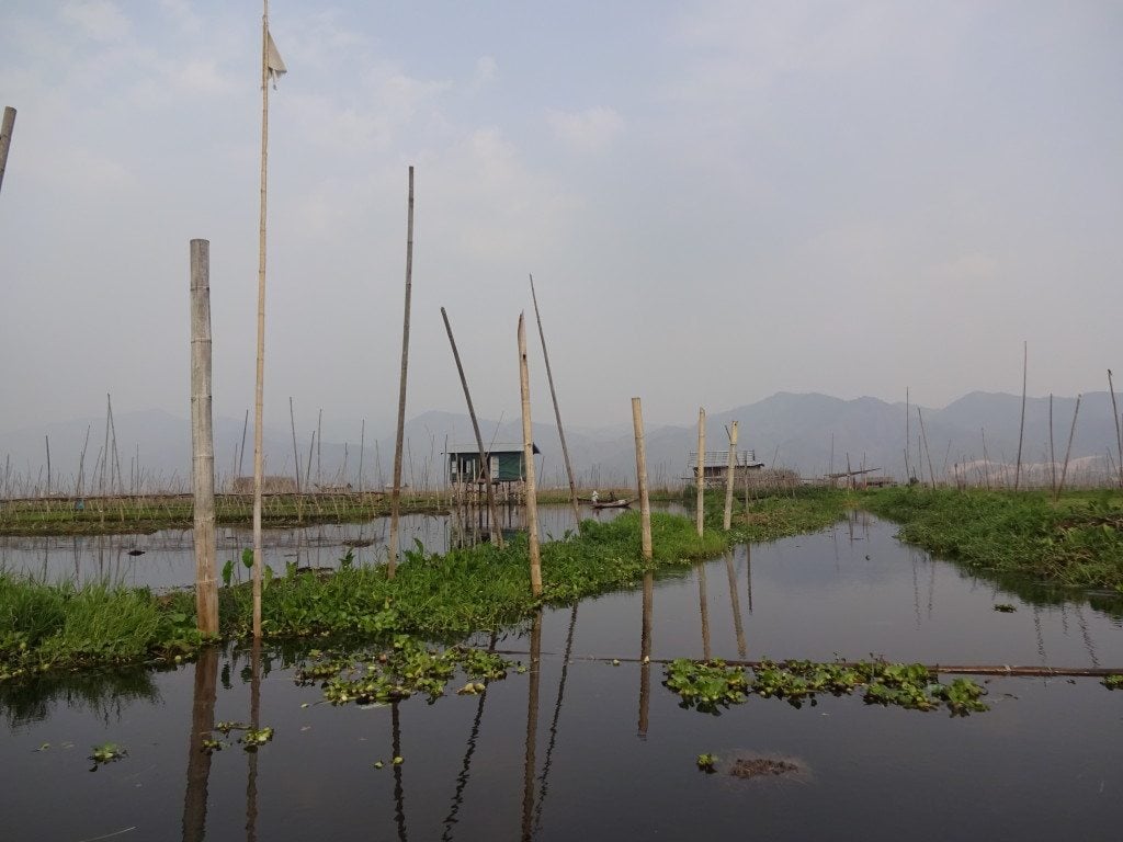 Inle