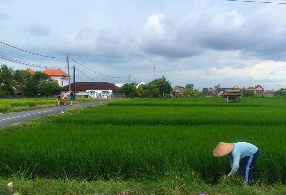 Canggu