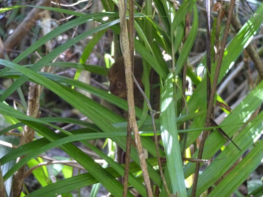 DSC05003