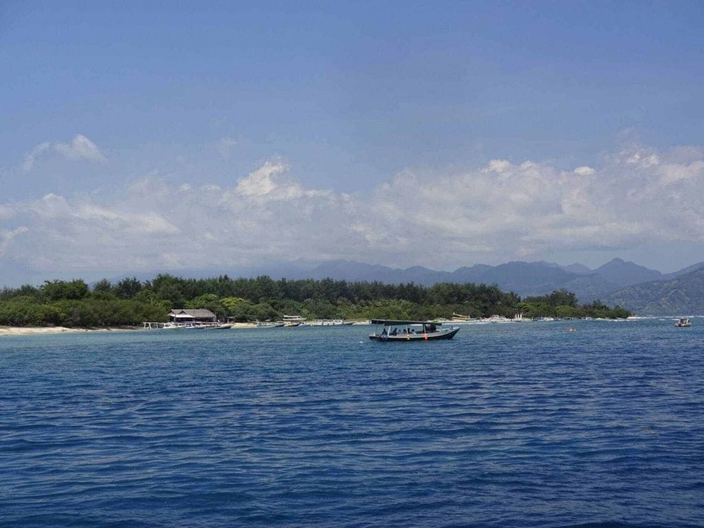 DSC05267