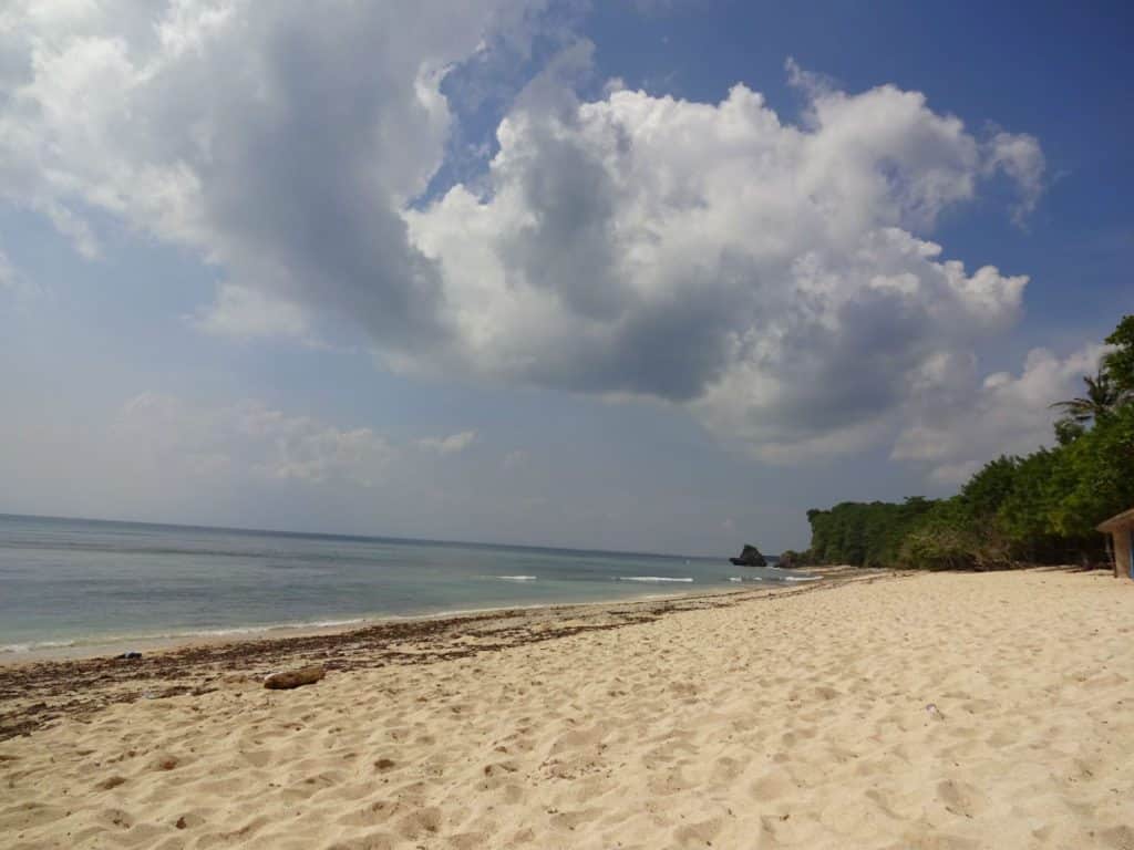 DSC05373