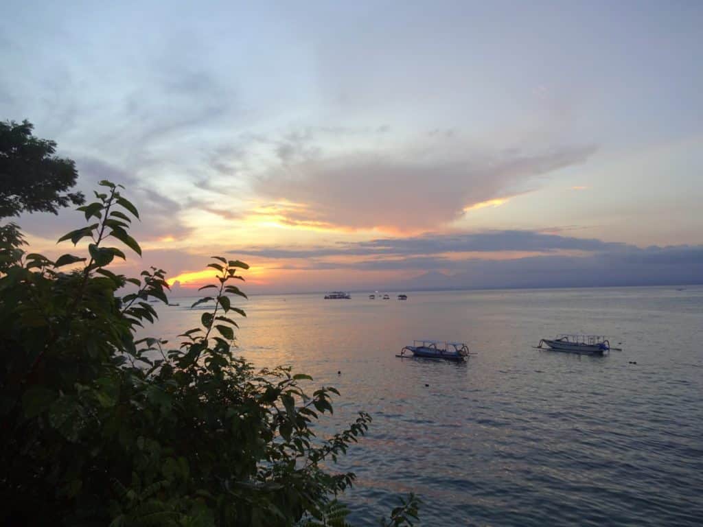 DSC05424