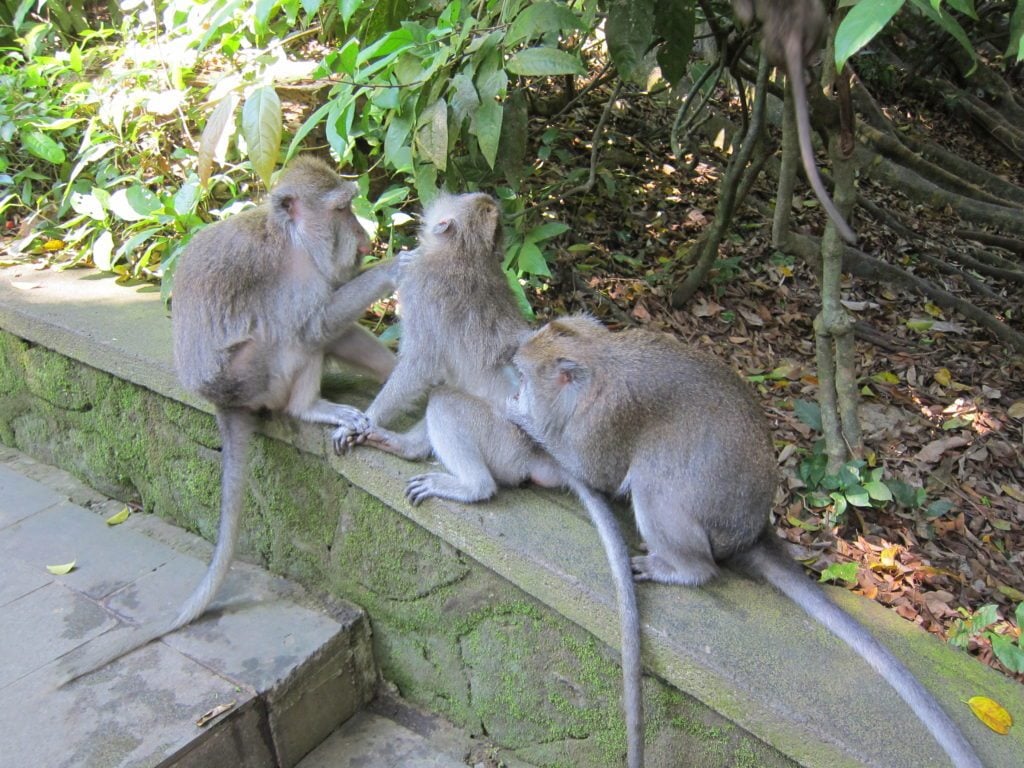 IMG_3080