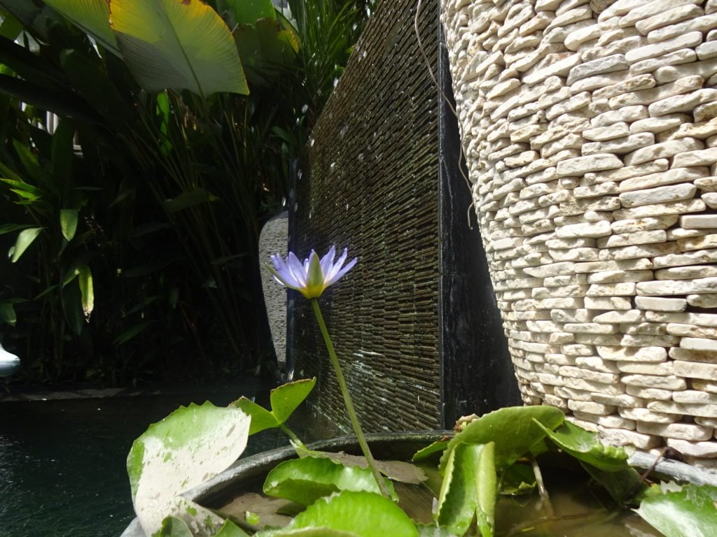 DSC05841