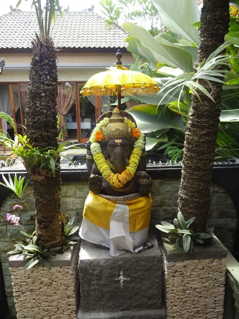DSC05842