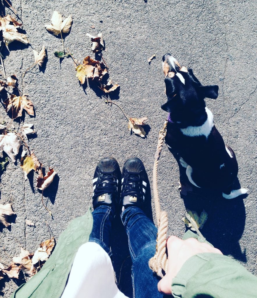Processed with VSCO with hb1 preset