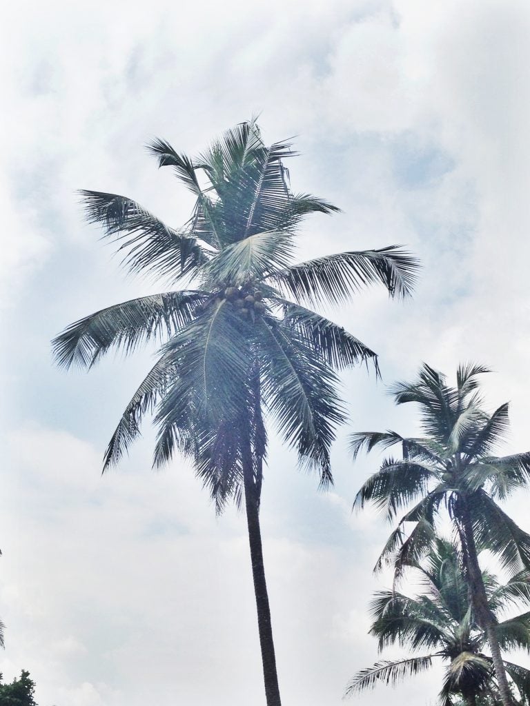 Sri Lanka