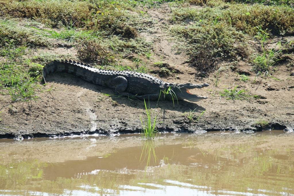 Sri Lanka 14 (1 von 1)