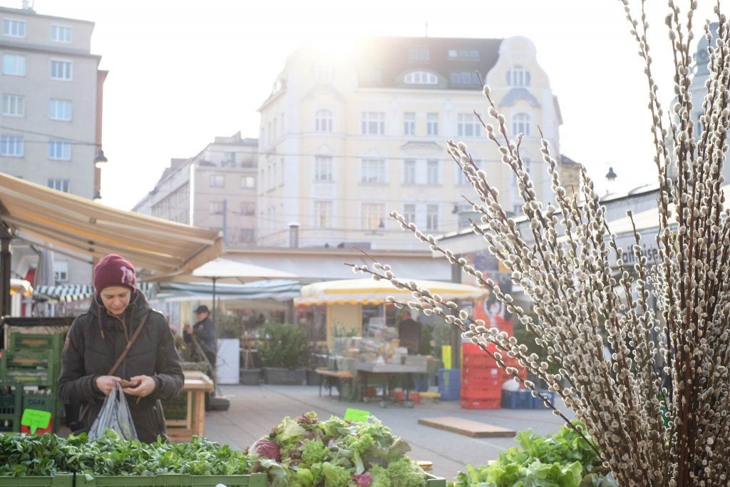 yogaandjuliet_karmeltiermarkt_12