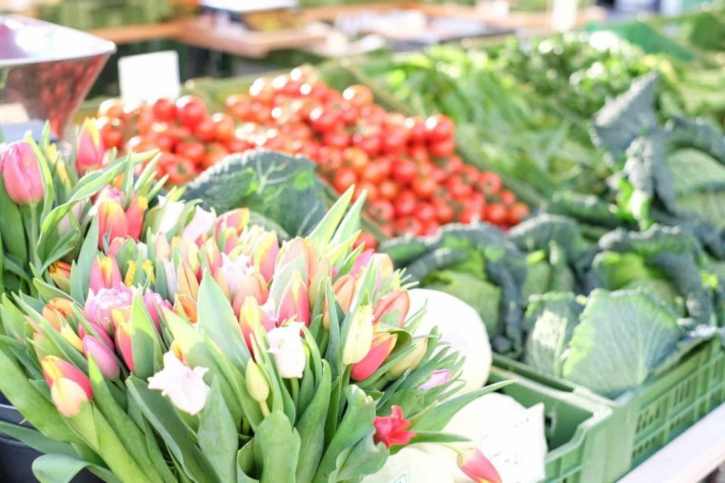 yogaandjuliet_karmeltiermarkt_13