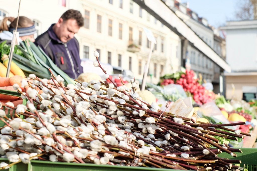 yogaandjuliet_karmeltiermarkt_14