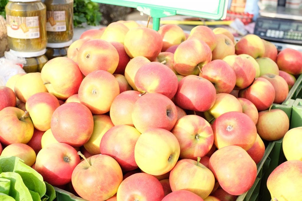 yogaandjuliet_karmeltiermarkt_16