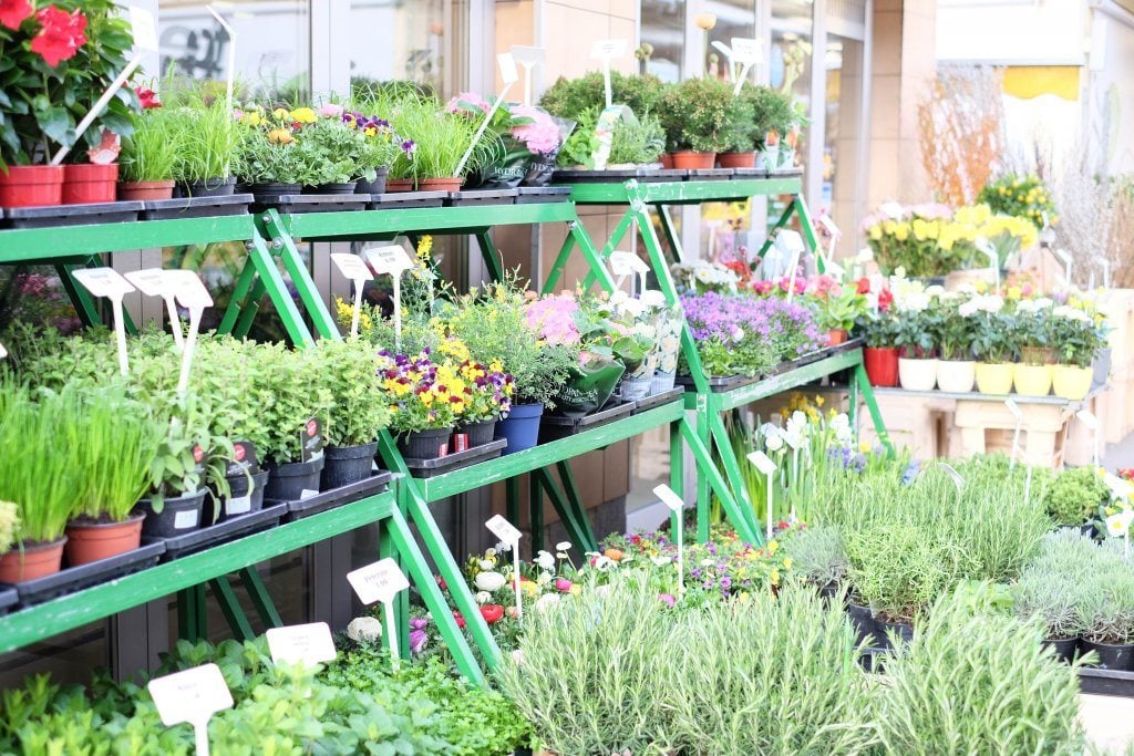 yogaandjuliet_karmeltiermarkt_2