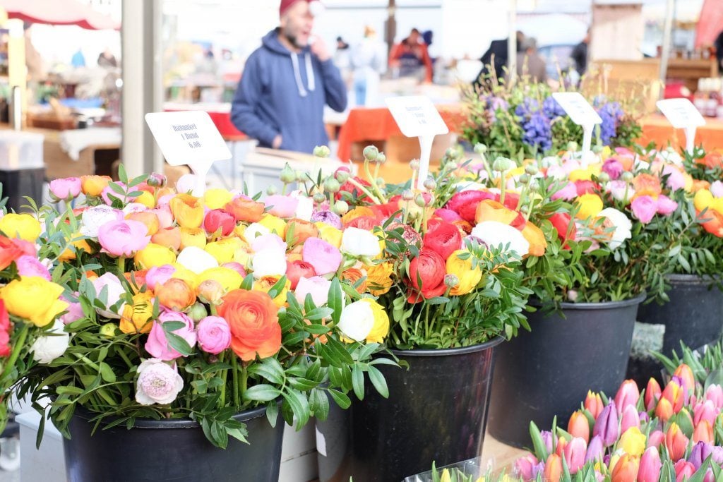 yogaandjuliet_karmeltiermarkt_3