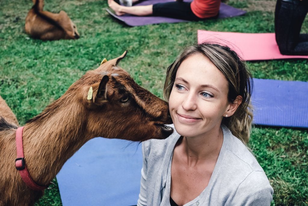 yogaandjuliet_goatyoga_32
