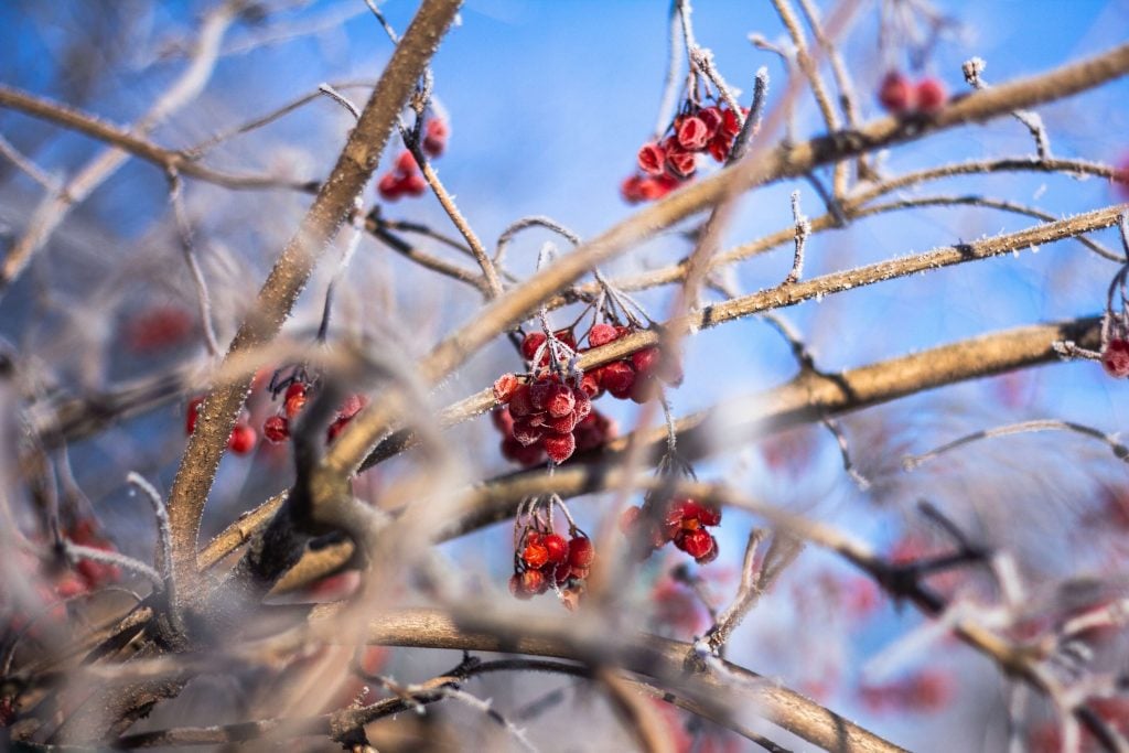 Wintersonnenwende
