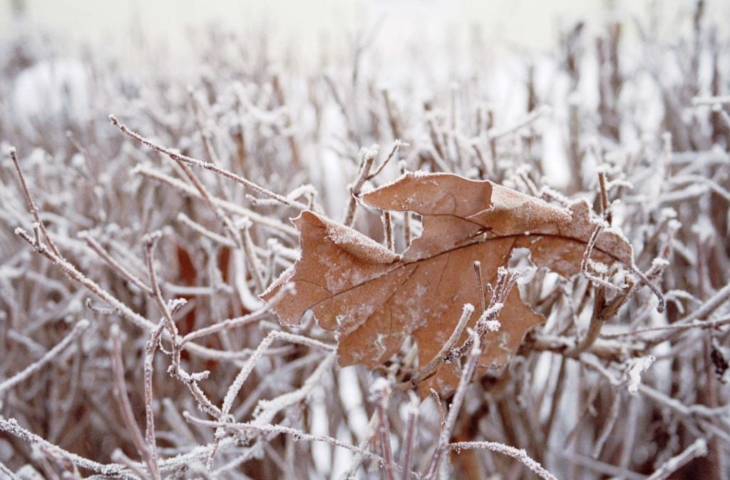 Wintersonnenwende