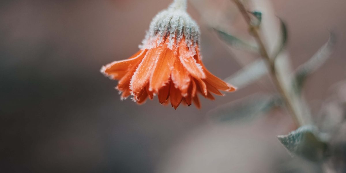 Wintersonnenwende
