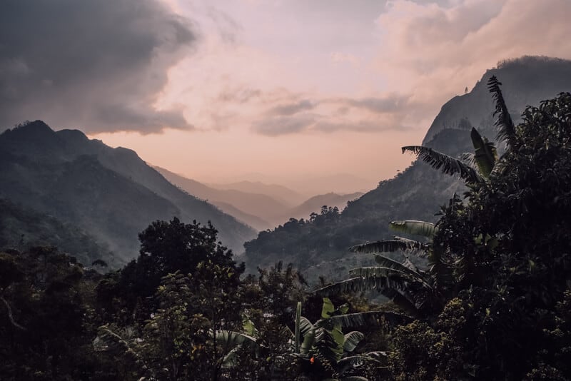 Yoga Retreat Sri Lanka Oktober 2020