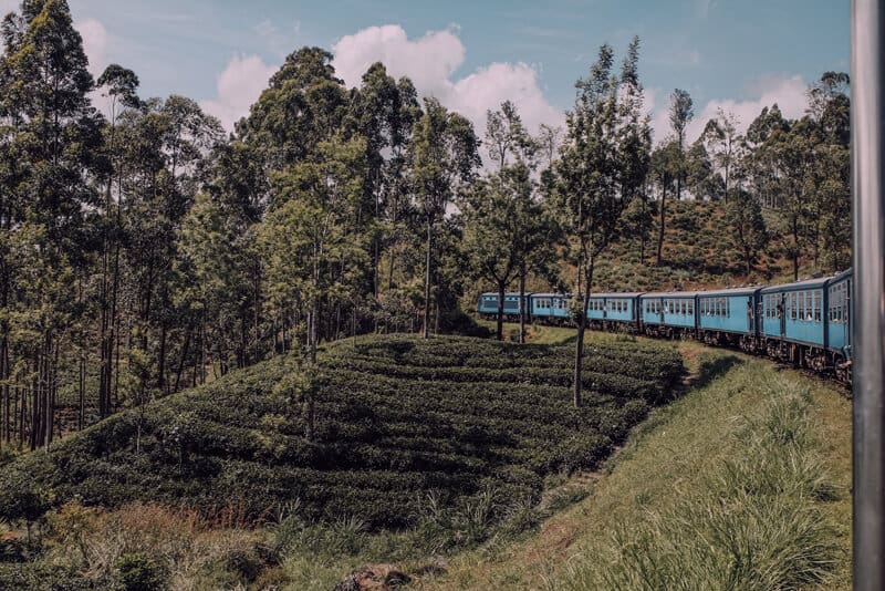 Yoga Retreat Sri Lanka Oktober 2020