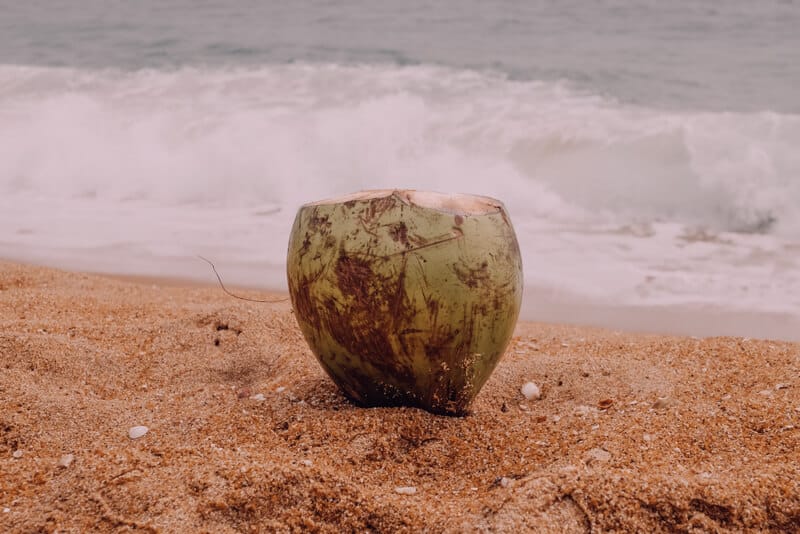 Yoga Retreat Sri Lanka Oktober 2020