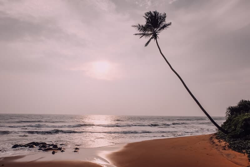 Yoga Retreat Sri Lanka Oktober 2020